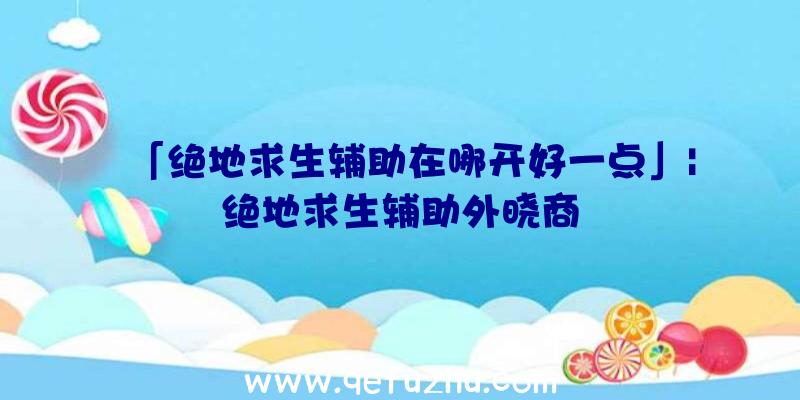 「绝地求生辅助在哪开好一点」|绝地求生辅助外晓商